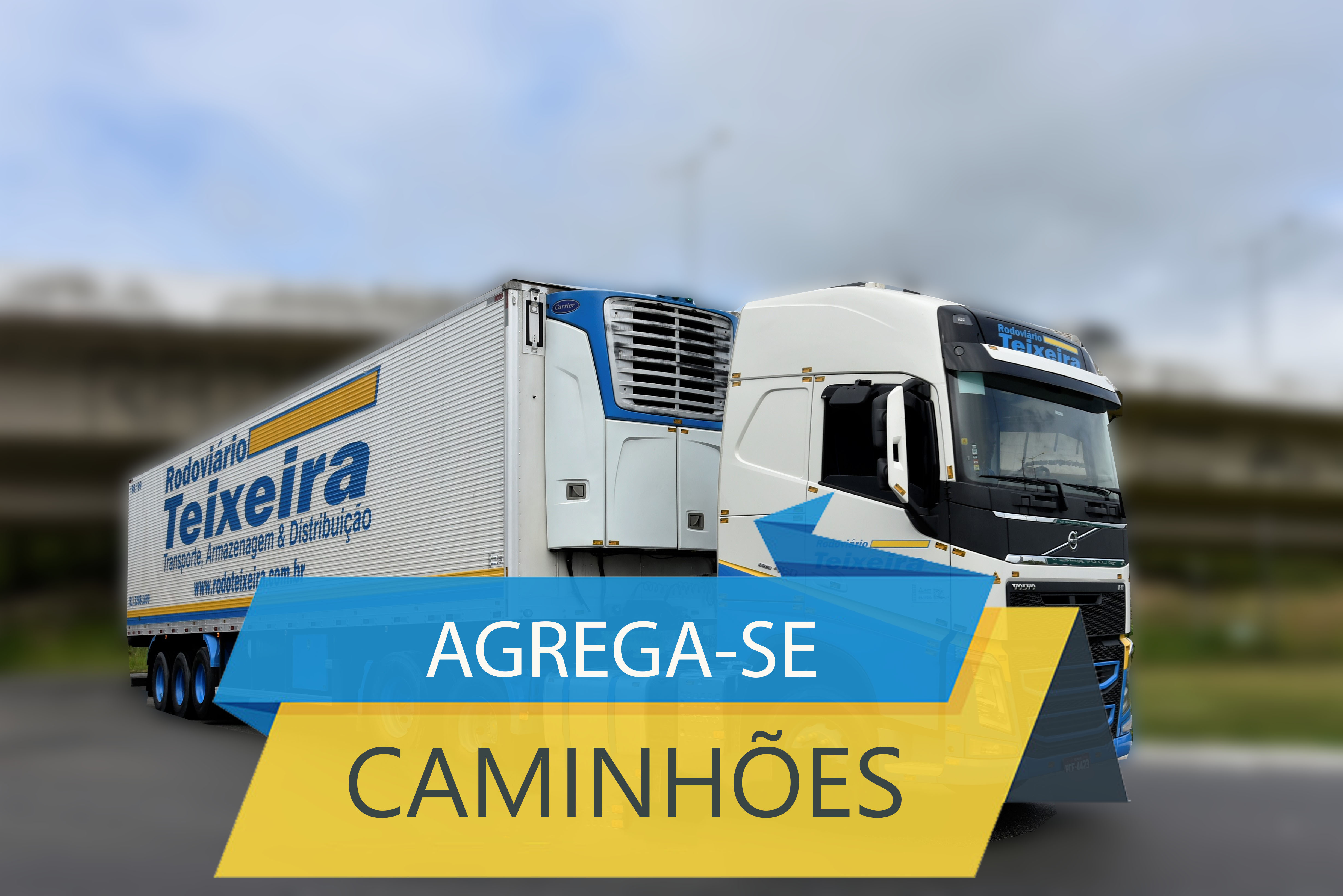 Transportadora de carga - Rodoviário Teixeira